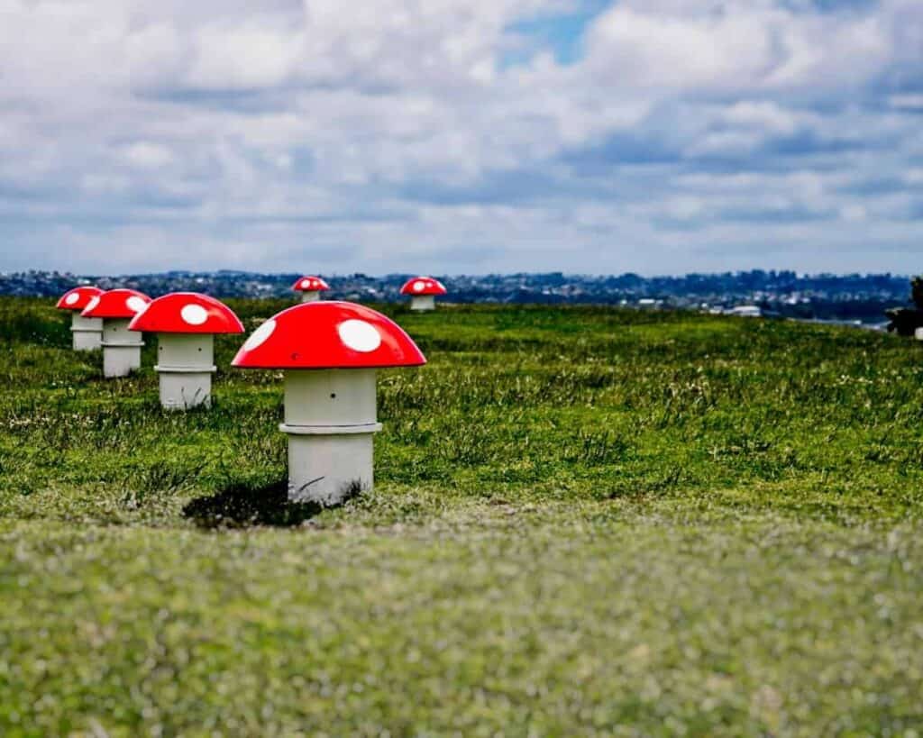 Art Meets Function, and Mario Brothers: The top of Mount Victoria features mushroom-shaped vents which are connected to the underground water reservoir.