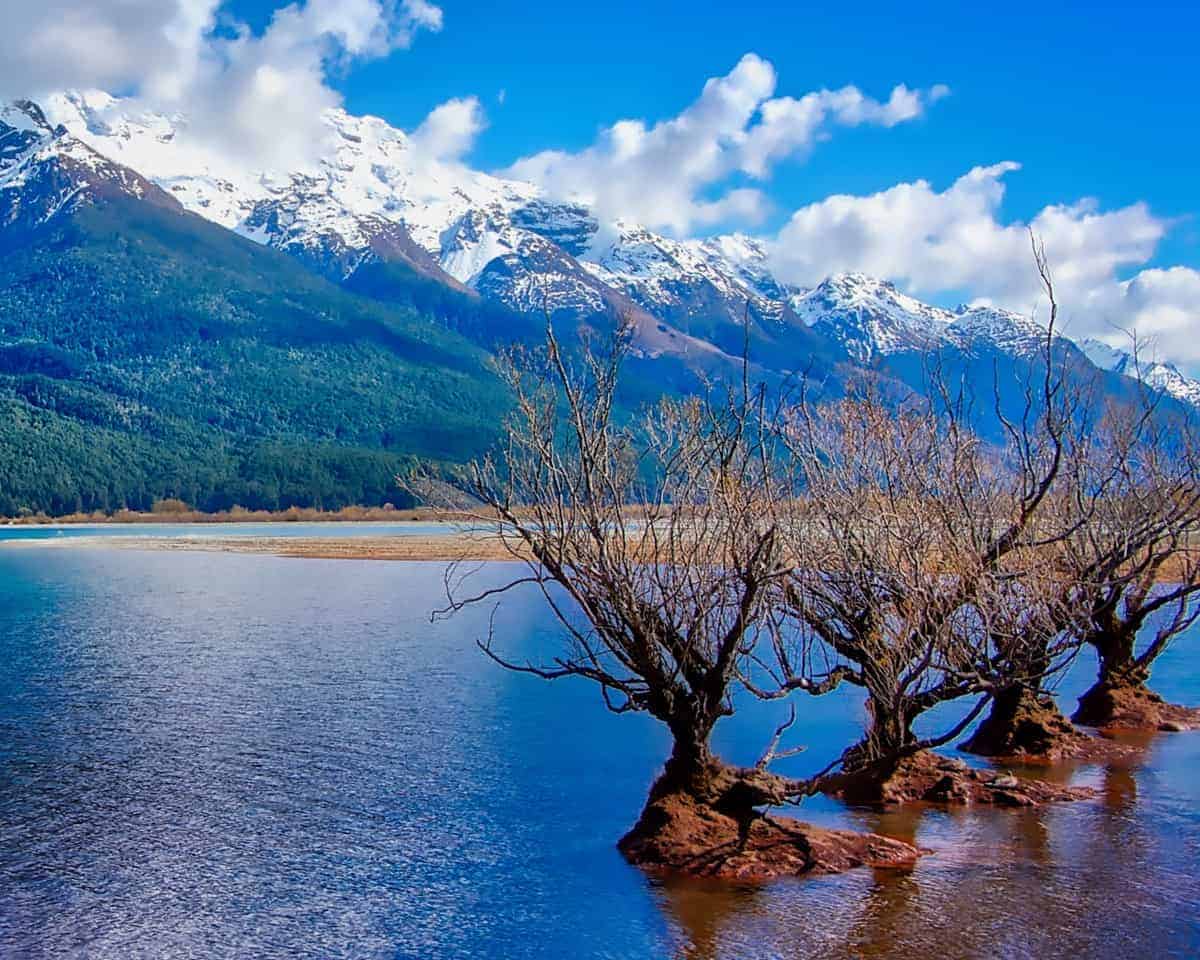 Three trees growing out of the banks of Lake Wakatipu on the south island of New Zealand with mountains and clouds in the background