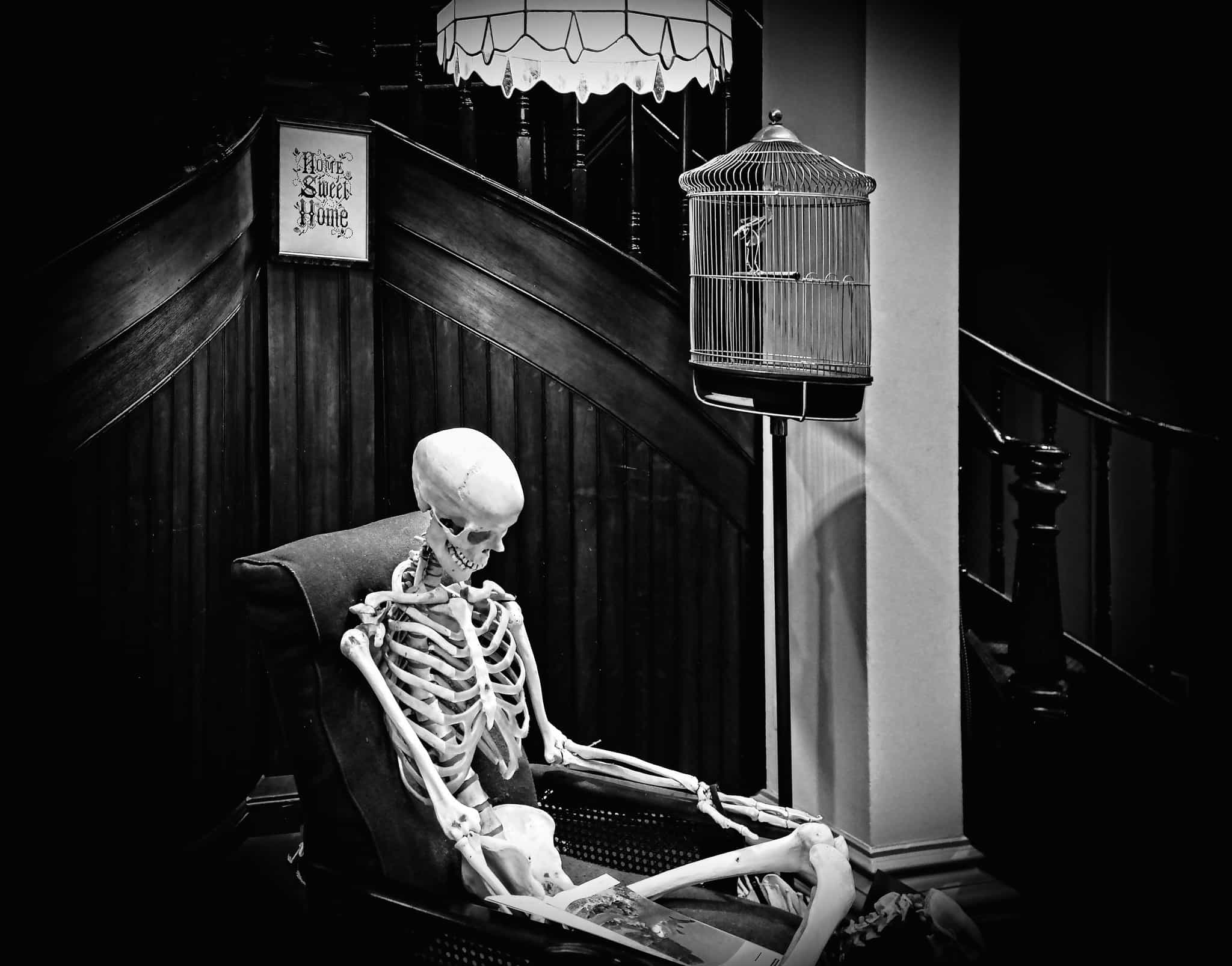 Home Sweet Home? Black and white image of a skeleton sitting in a reading chair reading a book with a skeletal bird in a cage