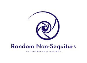 Random Non-Sequiturs Vertical Logo
