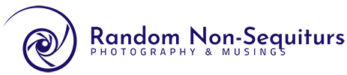 Random Non-Sequiturs Logo