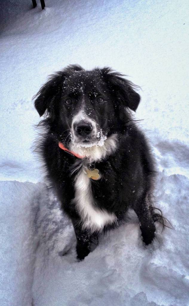 Roxy - more snow please