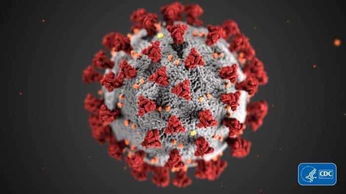 COVID-19 Virus Image provided by the CDC - Remember Social Distancing folks!